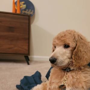 Meet your Posher, Heather